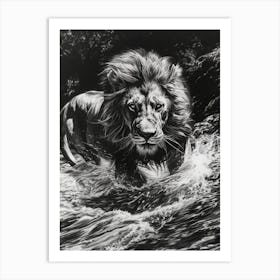 Barbary Lion Charcoal Drawing Crossing A River 2 Art Print