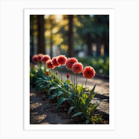 Dahlias Art Print