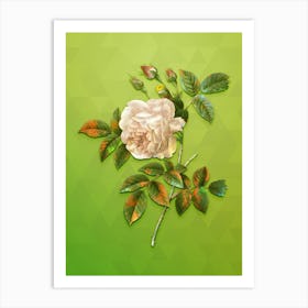 Vintage Rosa Indica Botanical Art on Love Bird Green n.0792 Art Print