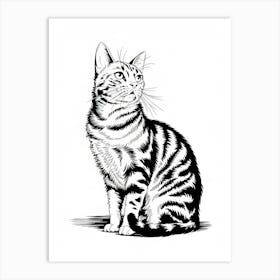 Striped Cat Art Print