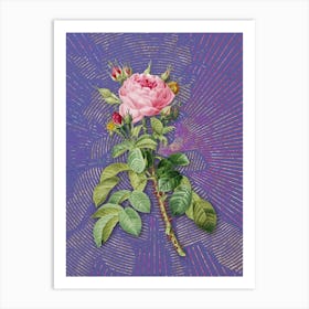 Vintage Lelieur's Four Seasons Rose Botanical Illustration on Veri Peri Art Print