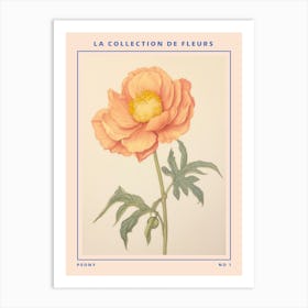 Peony French Flower Botanical Poster Art Print