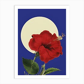 Hibiscus Flower 3 Art Print