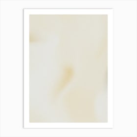 Close Up Of A White Flower Art Print