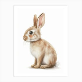 Britannia Petite Rabbit Kids Illustration 2 Art Print