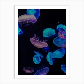 Jellyfish Art Print