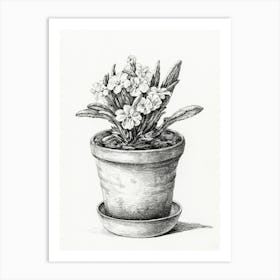 Potted Plant, Jean Bernard Art Print