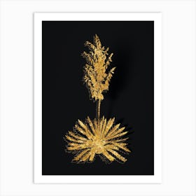 Vintage Adam's Needle Botanical in Gold on Black n.0498 Art Print