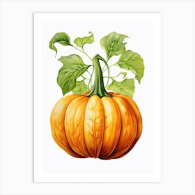 Turban Squash Pumpkin Watercolour Illustration 1 Art Print