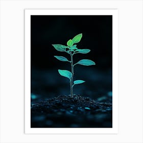 Small Green Plant On Dark Background 3 Art Print