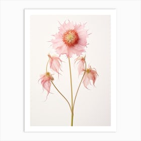 Pressed Wildflower Botanical Art Prairie Smoke 2 Art Print