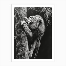 African Lion Charcoal Drawing Climbing A Tree 1 Art Print