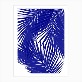 Royal Palms Art Print