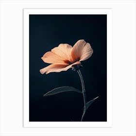 Single Pink Flower 3 Art Print