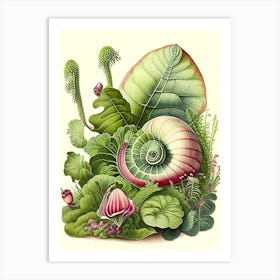 Garden Snail In Garden 1 Botanical Art Print