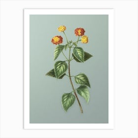 Vintage Tickberry Botanical Art on Mint Green Art Print