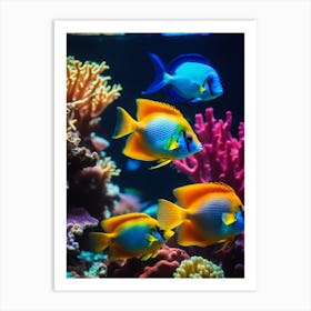 Tropical Fishes In An Aquarium Art Print