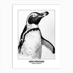 Penguin Staring Curiously Poster 8 Art Print