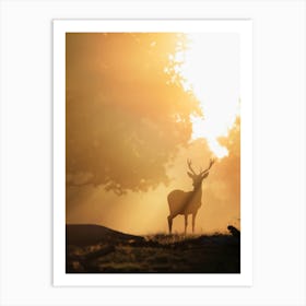 Deer Silhouette In The Sunrise Art Print