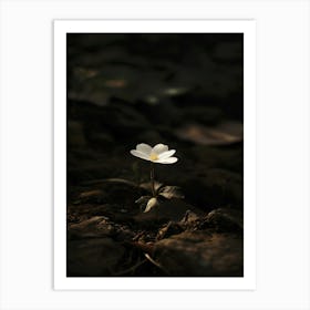 White Flower 26 Art Print