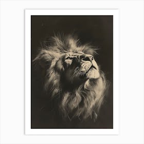 African Lion Charcoal Drawing Symbolic Imagery 4 Art Print
