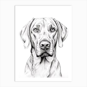 Rhodesian Ridgeback Dog, Line Drawing 1 Art Print