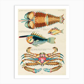 Colourful And Surreal Illustrations Of Fishes, Lobster And Crab Found In The Indian And Pacific Oceans, Louis Renard (76) Art Print