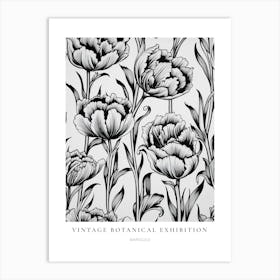 Marigold B&W Vintage Botanical Poster Art Print