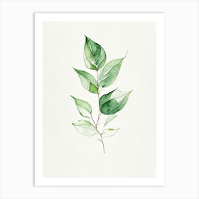 Basil Leaf Minimalist Watercolour 2 Art Print