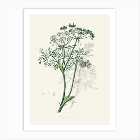 Vintage Botanical John Stephenson and James Morss Churchill Art Print_2731654 Art Print