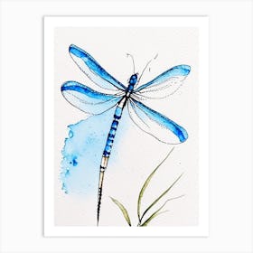 Blue Dasher Dragonfly Minimalist Watercolour 2 Art Print