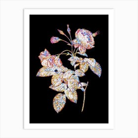 Stained Glass Pink Boursault Rose Mosaic Botanical Illustration on Black n.0096 Art Print