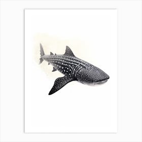 Oil Painting Of A Whale Shark Shadow Outline In Black 1 Art Print