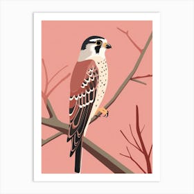 Minimalist American Kestrel 3 Illustration Art Print