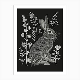 Mini Rex Rabbit Minimalist Illustration 3 Art Print