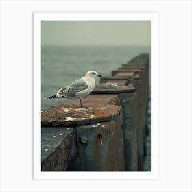 Seagull On Pier Art Print