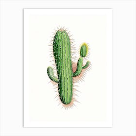 Fishhook Cactus Marker Art 2 Art Print