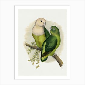 Parrots 1 Art Print