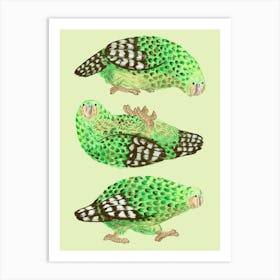 Kakapo Art Print