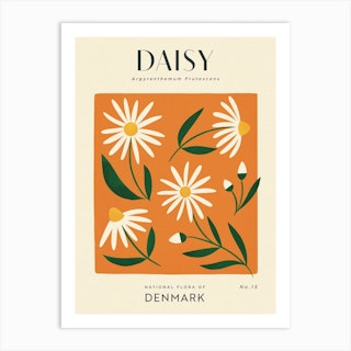 Vintage Orange And White Daisy Flower Of Denmark Art Print
