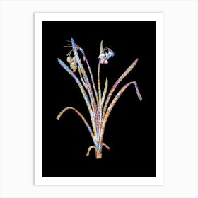 Stained Glass Summer Snowflake Mosaic Botanical Illustration on Black n.0052 Art Print