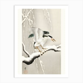 Emerge On Snowy Branch (1900 1930), Ohara Koson Art Print