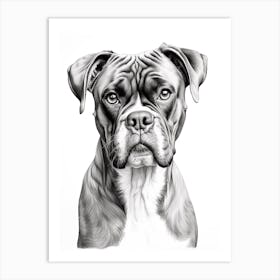Boxer Dog, Line Drawing 1 Art Print