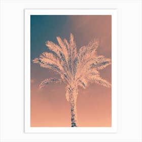 Palm Tree 1 Art Print