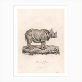 Rhinoceros Of Africa, James Heath Art Print