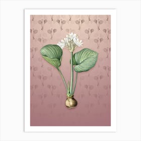 Vintage Cardwell Lily Botanical on Dusty Pink Pattern n.2272 Art Print