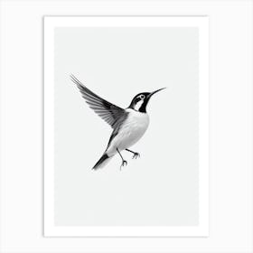 Lark B&W Pencil Drawing 2 Bird Art Print