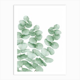 Watercolor Eucalyptus Leaves Art Print