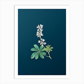 Vintage Half Shrubby Lupine Flower Botanical Art on Teal Blue n.0692 Art Print