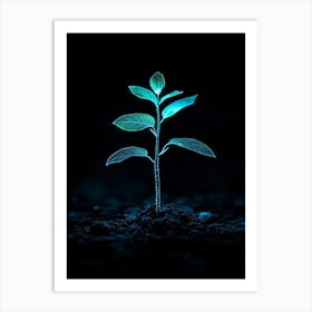 Small Green Plant On Black Background 8 Art Print